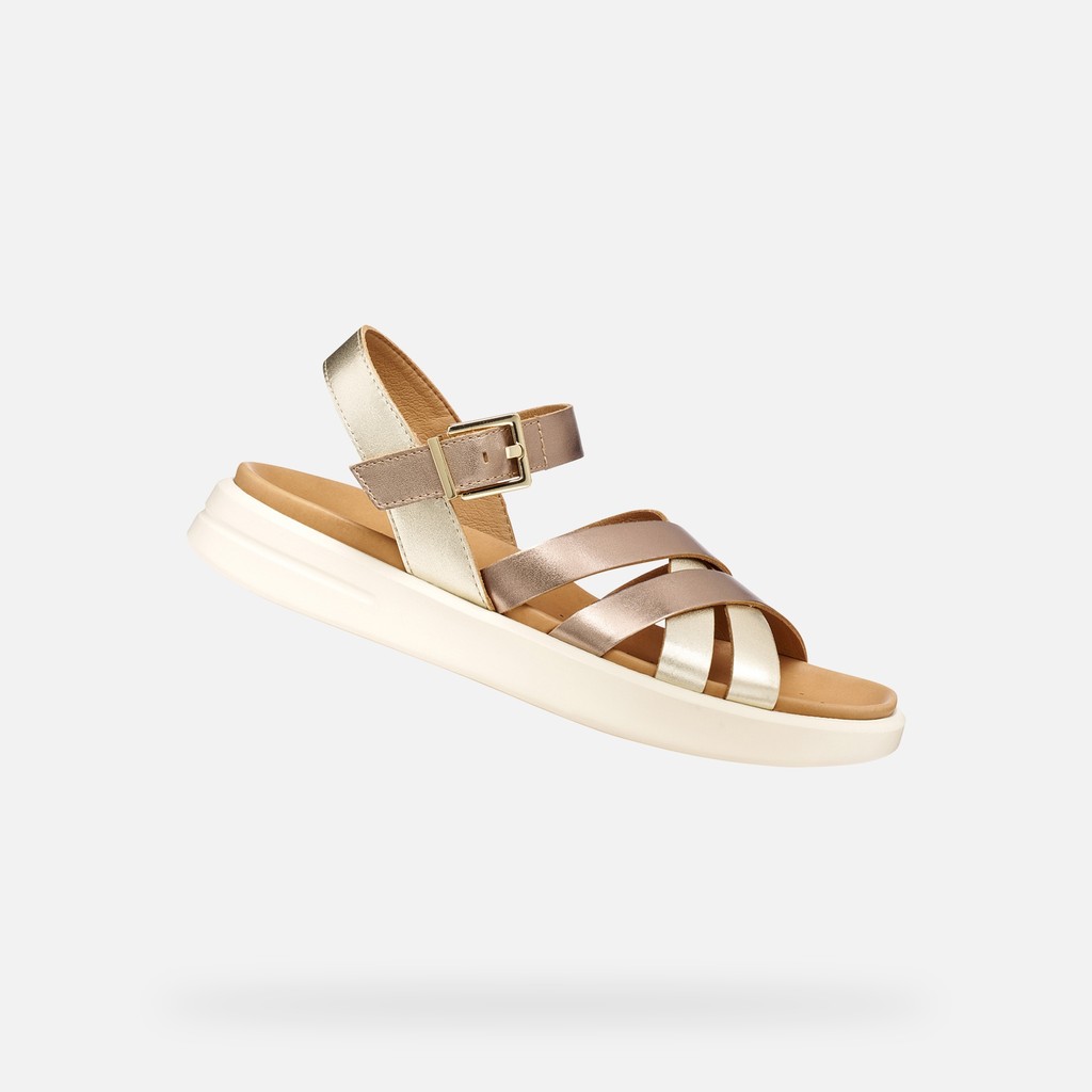XAND 2S DONNA