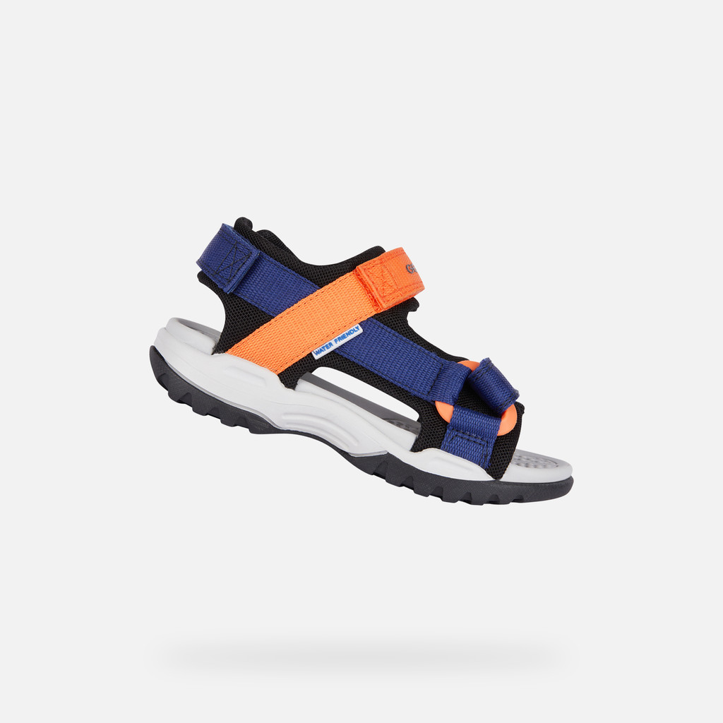 BOREALIS   JUNIOR