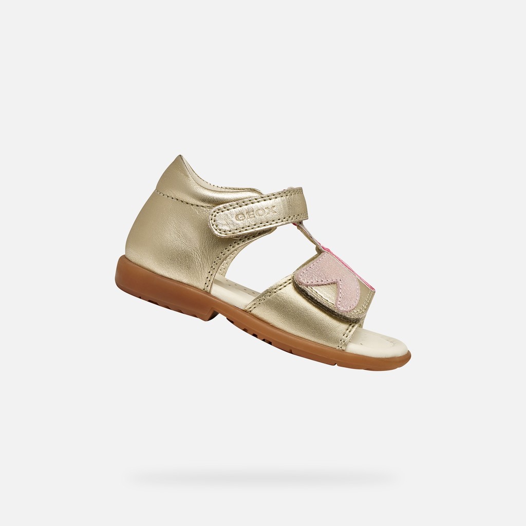VERRED BIMBA