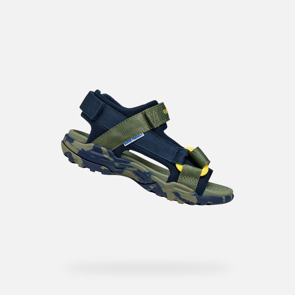 BOREALIS   JUNIOR