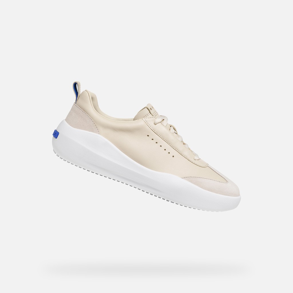 GXCP-02 DONNA