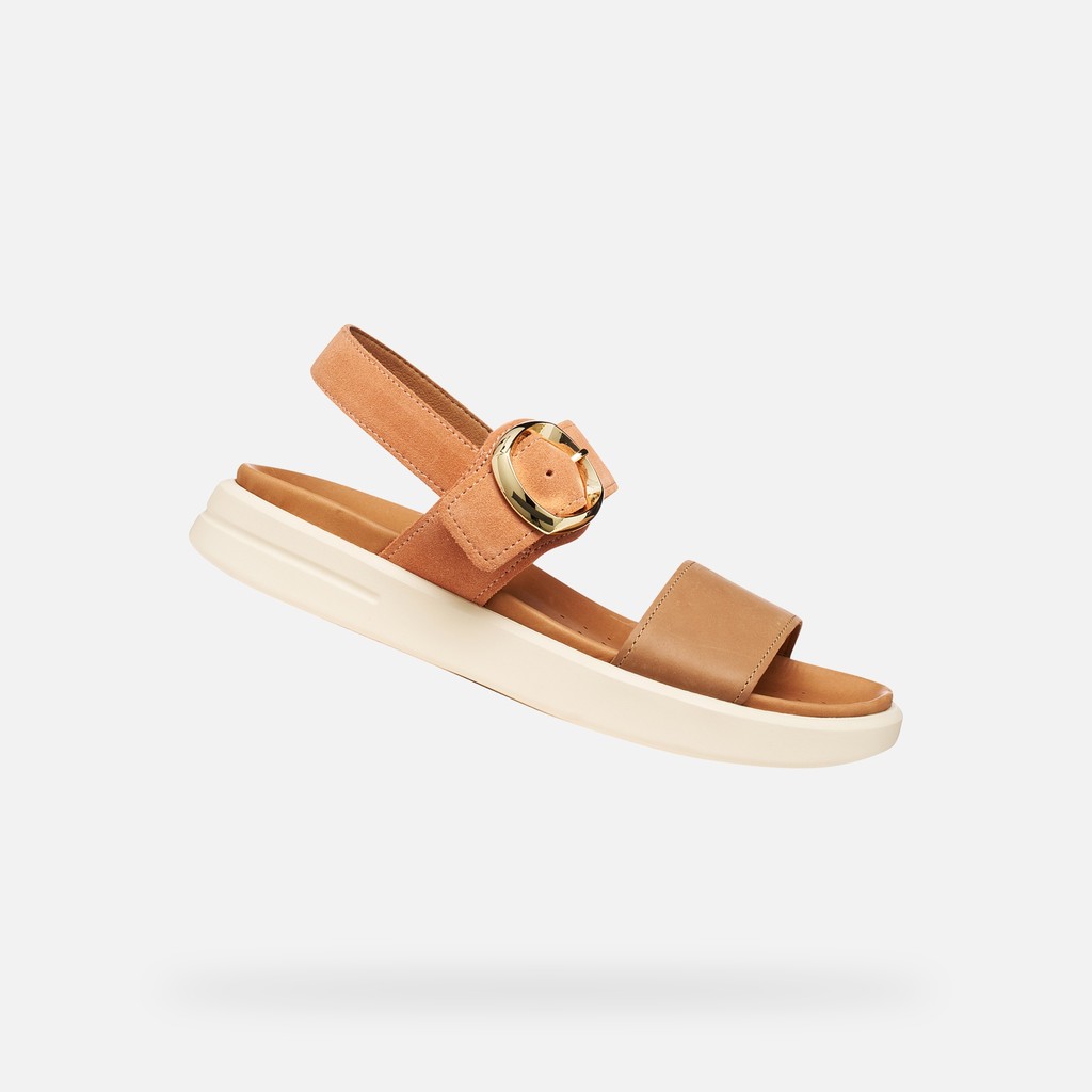 XAND 2S DONNA
