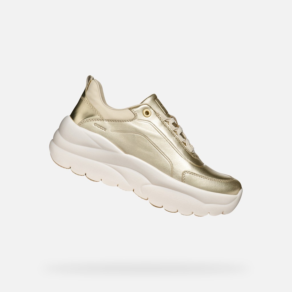 XTORS DONNA