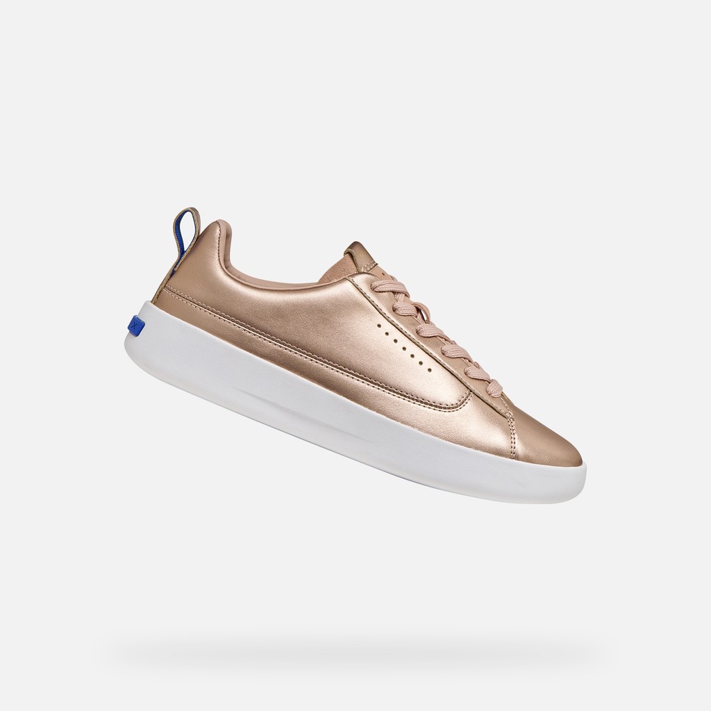 GXCP-01 DONNA