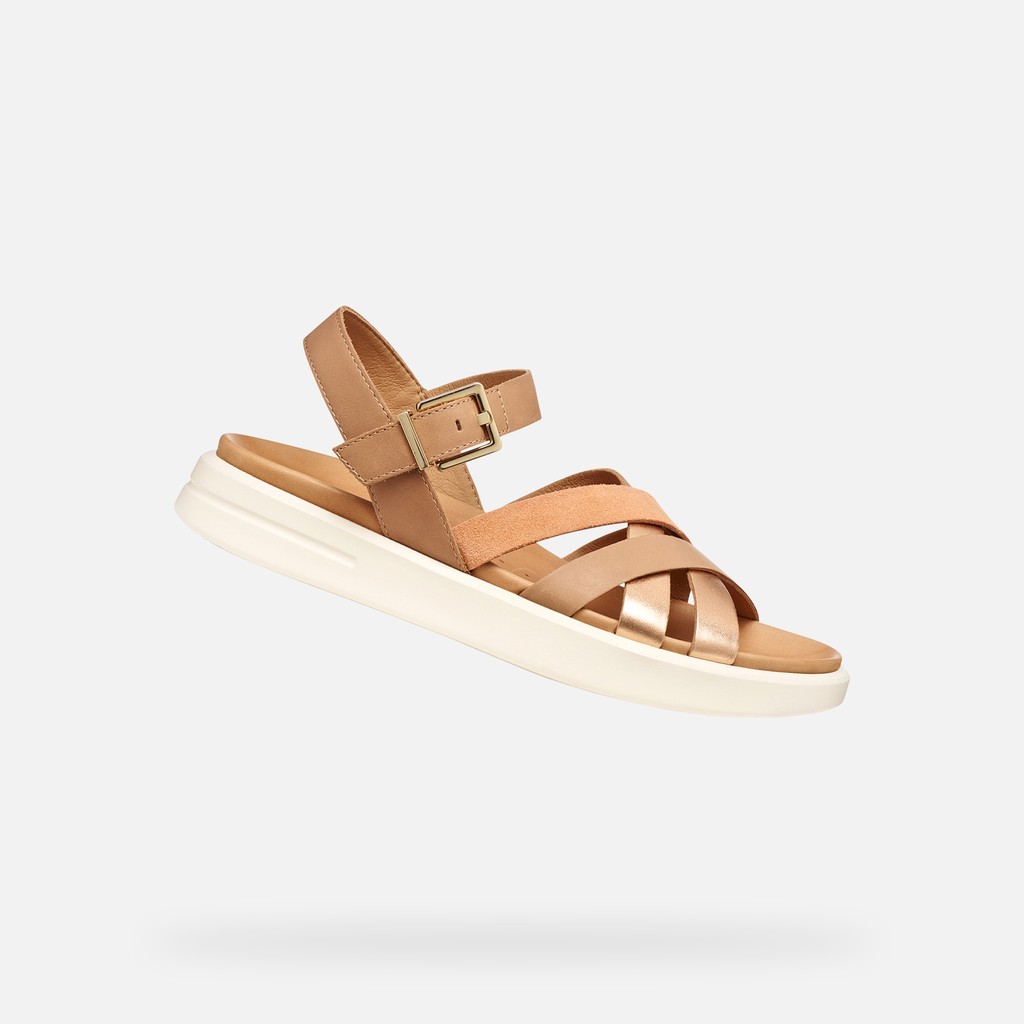 XAND 2S DONNA