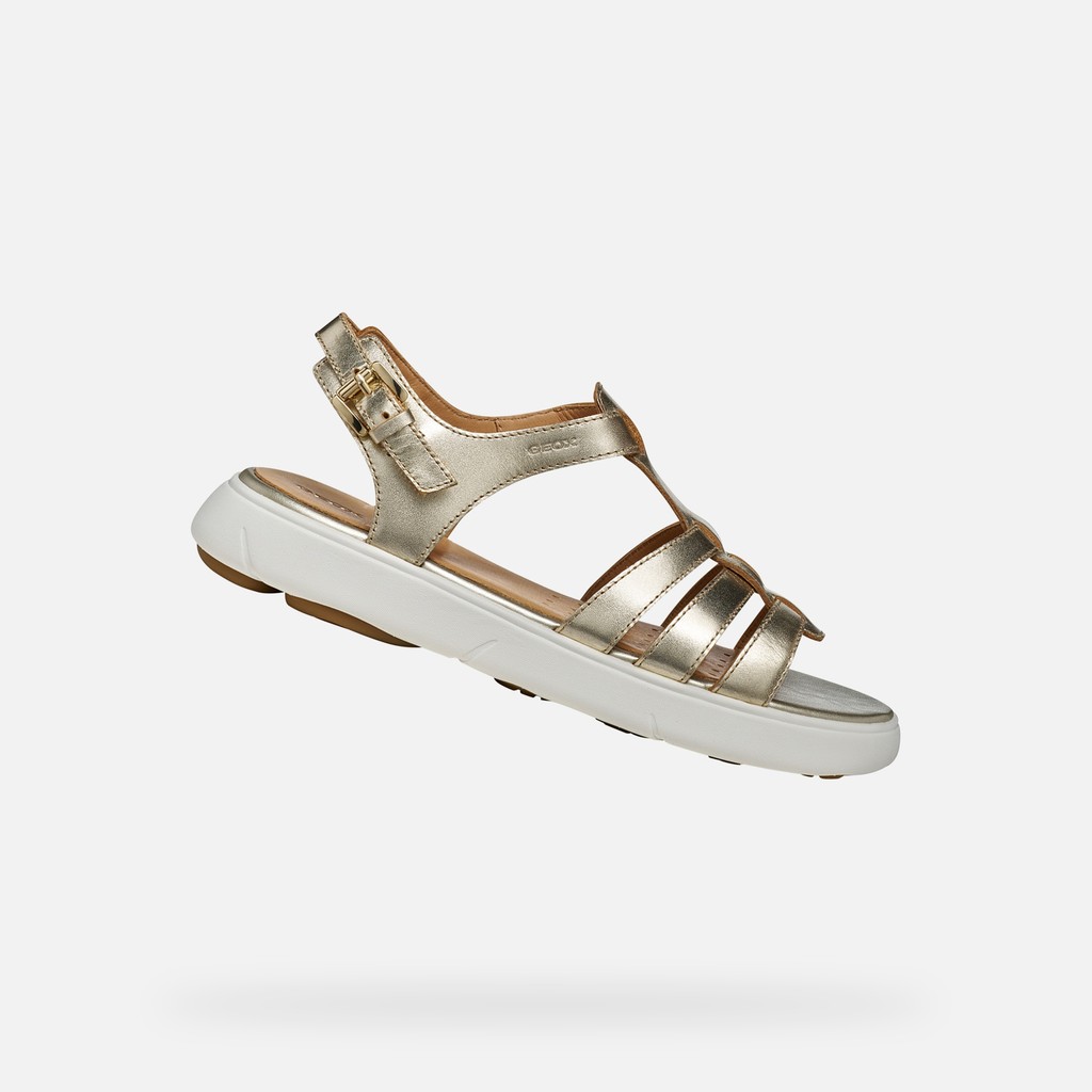 NEBULA 2.0 C S DONNA