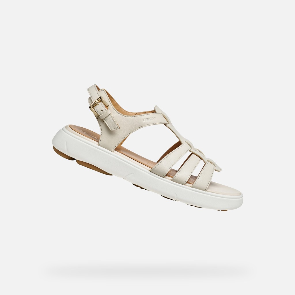 NEBULA 2.0 C S DONNA