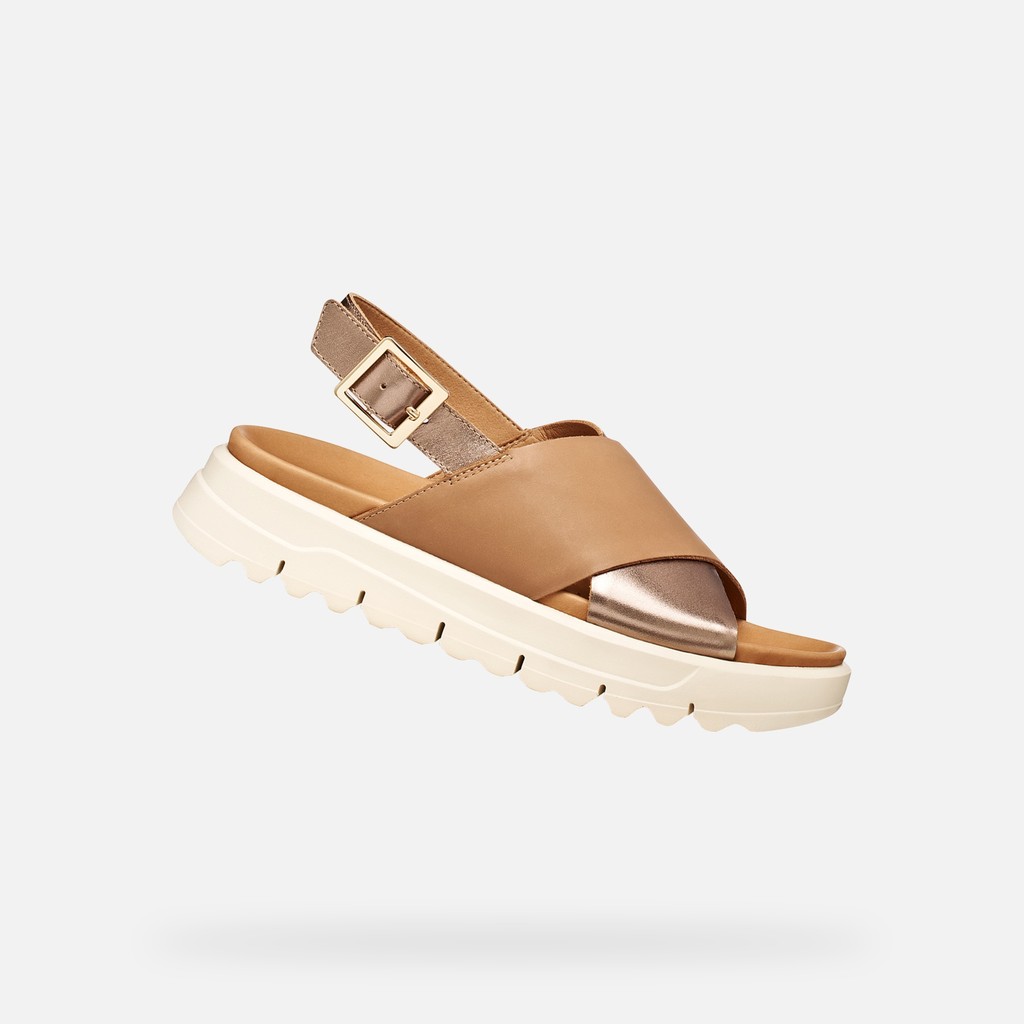 XAND 2.1S DONNA