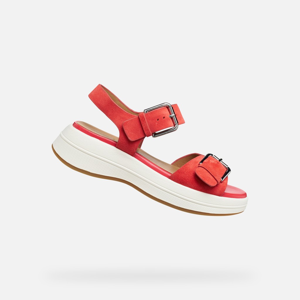 SPHERICA ECUB-3 S DONNA