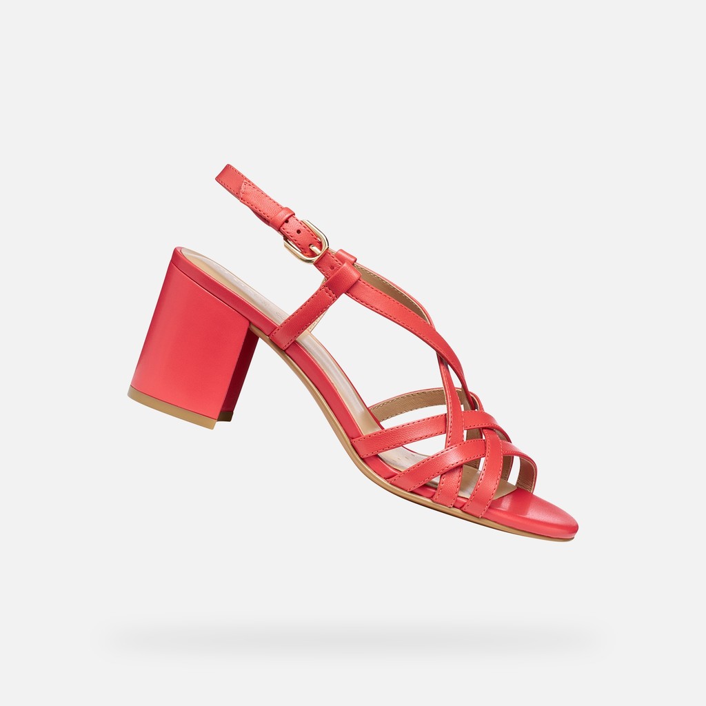 VIRNILISA 65 S DONNA