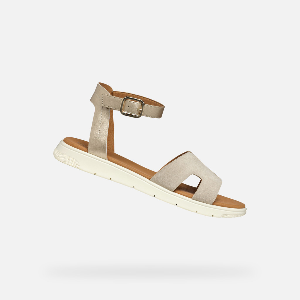 DANDRA DONNA