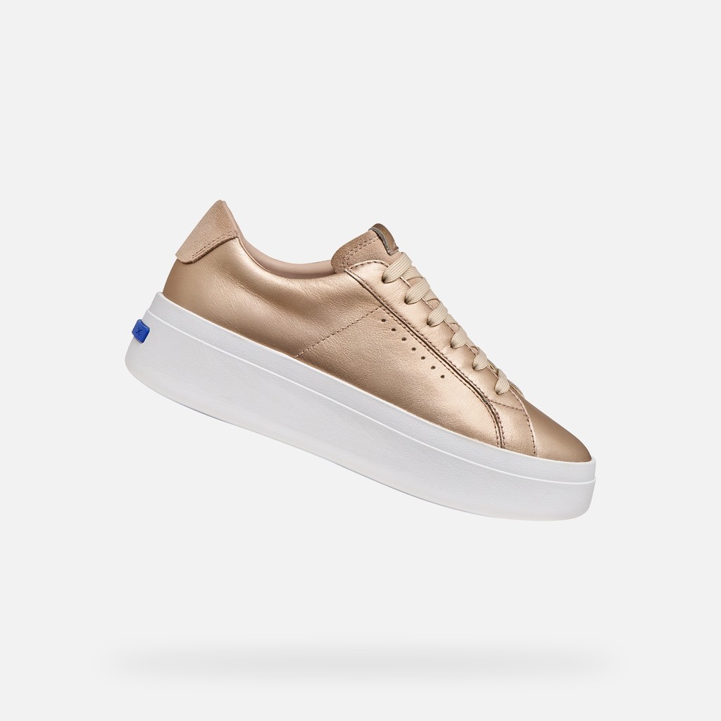 GXCP-03 DONNA