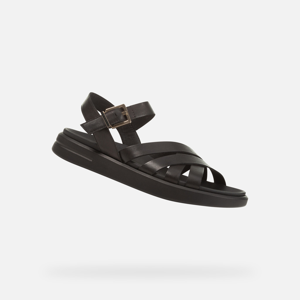 XAND 2S DONNA