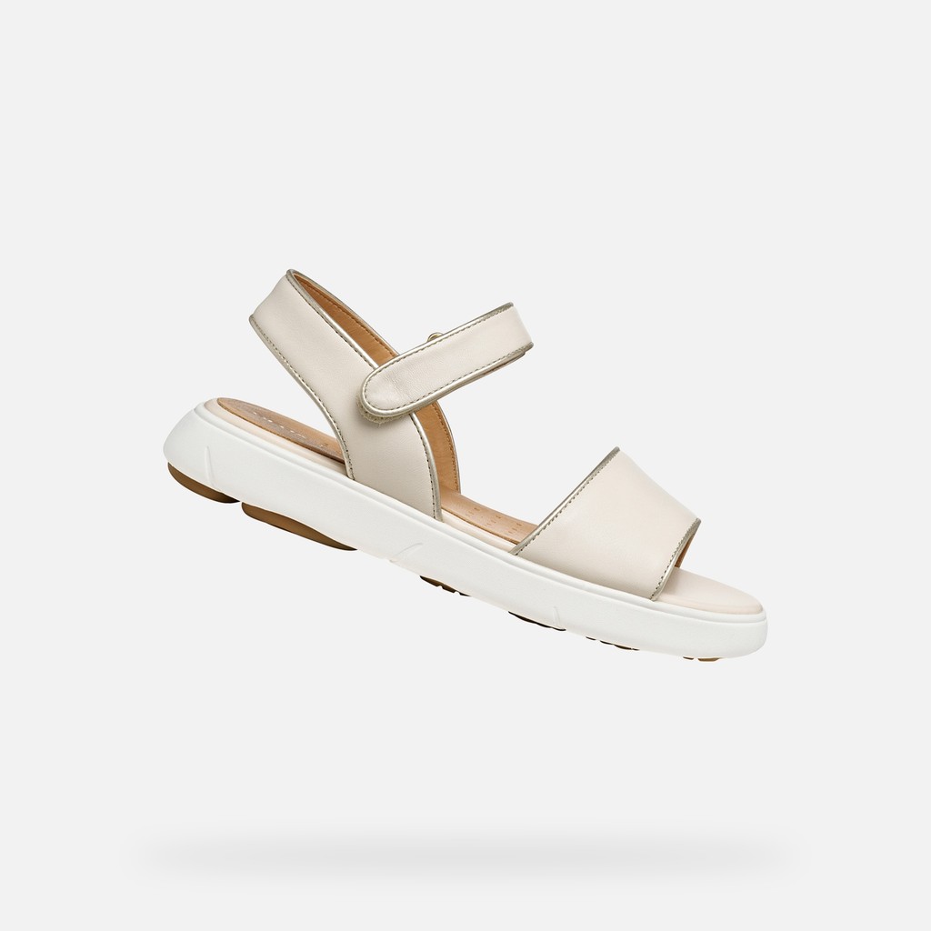 NEBULA 2.0 C S DONNA