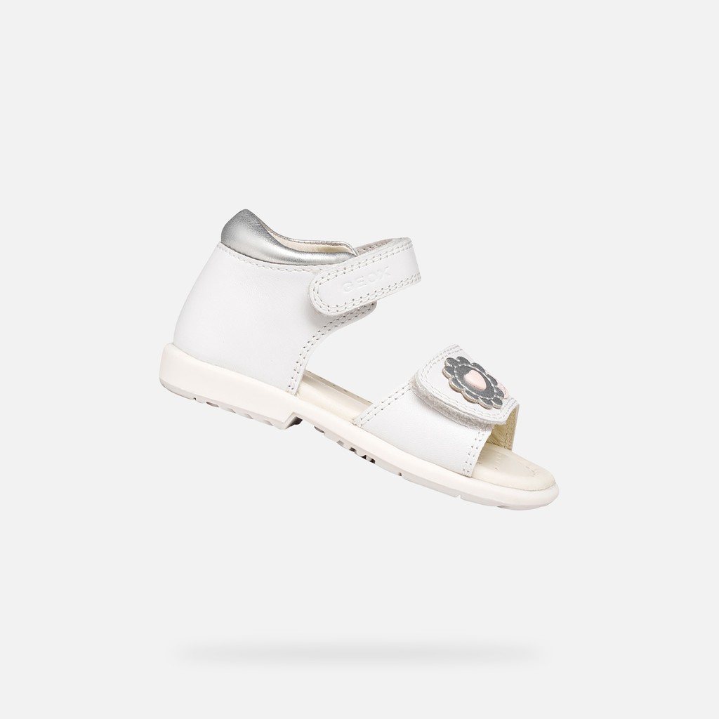VERRED BIMBA